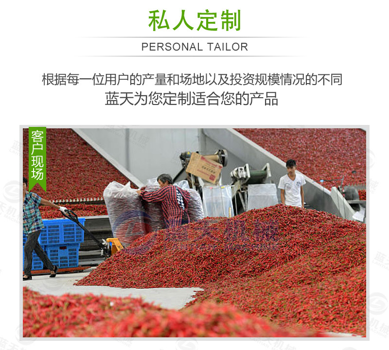 大型辣椒烘干機