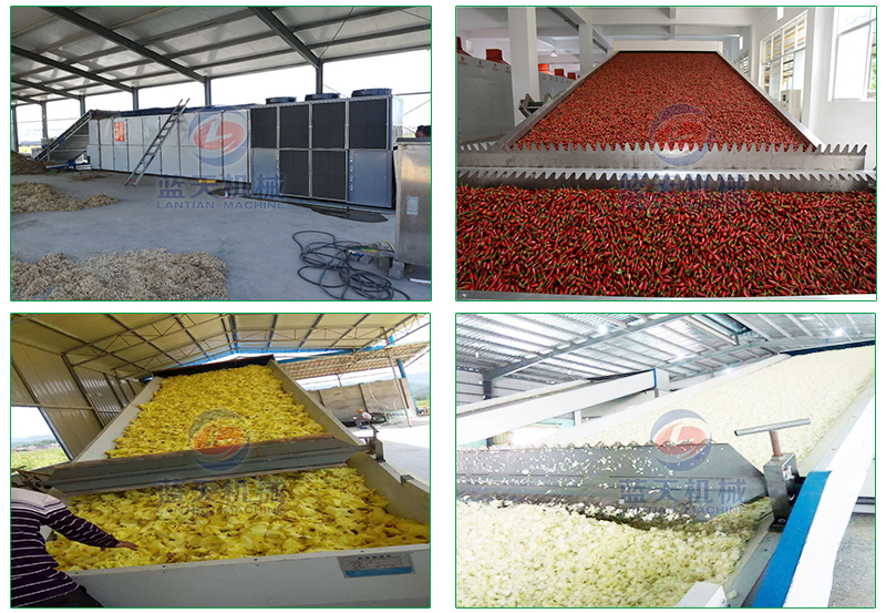 網帶果蔬烘干機