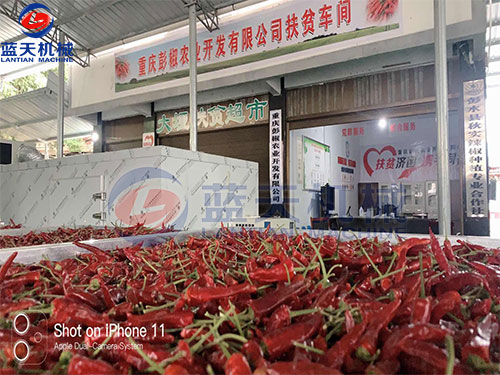 重慶辣椒烘干機(jī)客戶現(xiàn)場(chǎng)